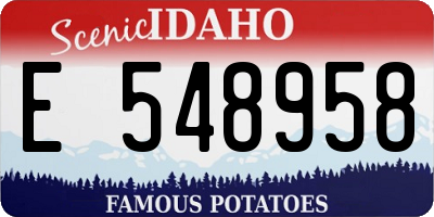 ID license plate E548958