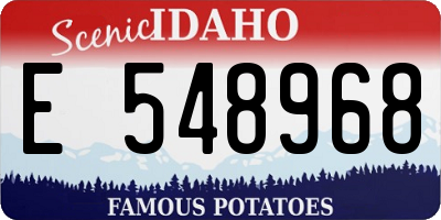 ID license plate E548968
