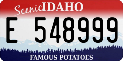 ID license plate E548999