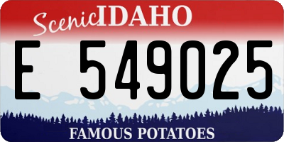 ID license plate E549025
