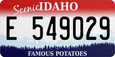 ID license plate E549029
