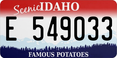 ID license plate E549033