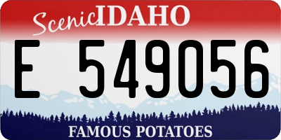 ID license plate E549056