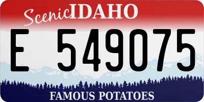 ID license plate E549075