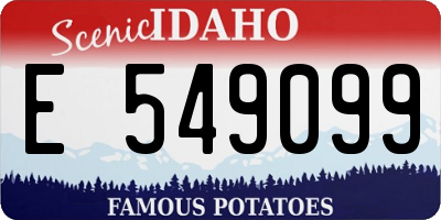 ID license plate E549099
