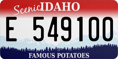 ID license plate E549100