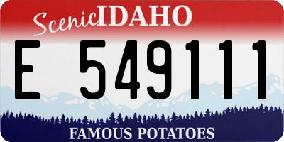 ID license plate E549111