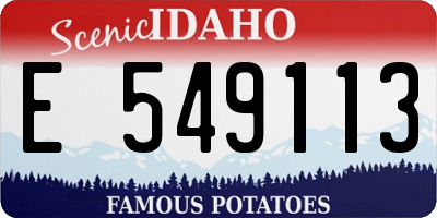 ID license plate E549113