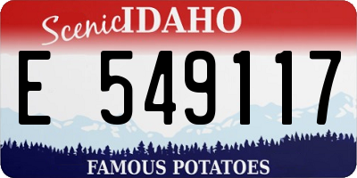 ID license plate E549117