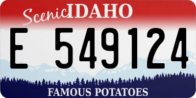 ID license plate E549124