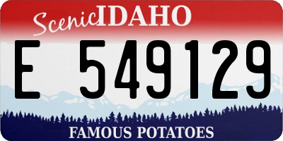 ID license plate E549129