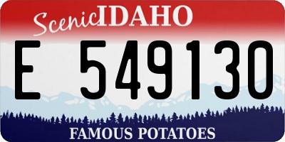 ID license plate E549130