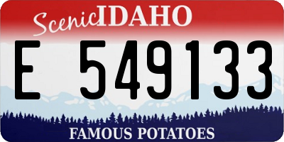 ID license plate E549133