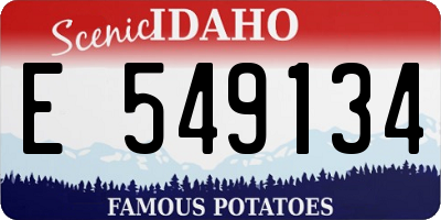 ID license plate E549134