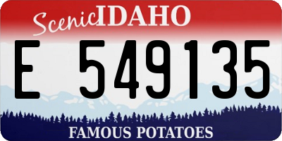 ID license plate E549135