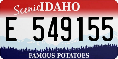 ID license plate E549155