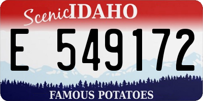 ID license plate E549172