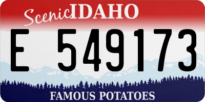 ID license plate E549173