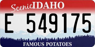 ID license plate E549175