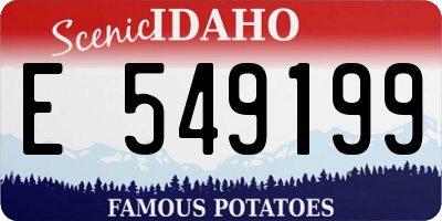 ID license plate E549199