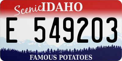 ID license plate E549203