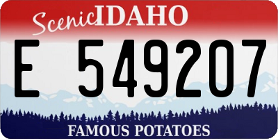 ID license plate E549207