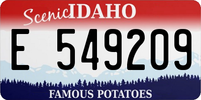 ID license plate E549209