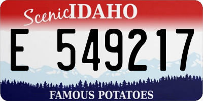ID license plate E549217