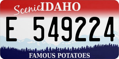 ID license plate E549224