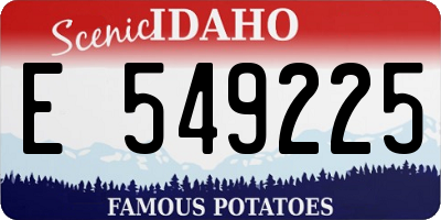 ID license plate E549225