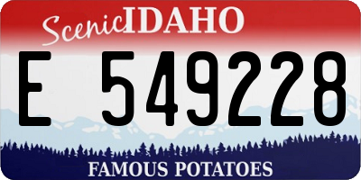 ID license plate E549228