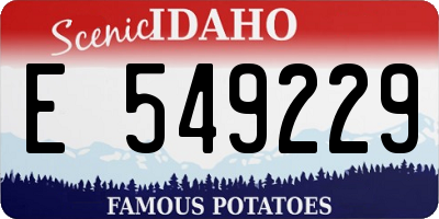 ID license plate E549229