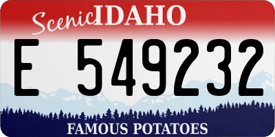 ID license plate E549232