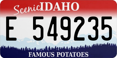 ID license plate E549235