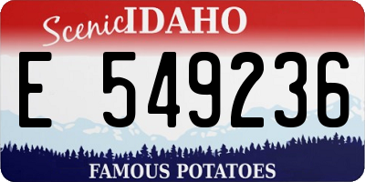 ID license plate E549236