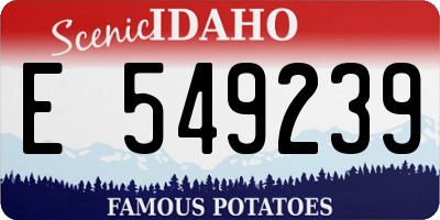 ID license plate E549239