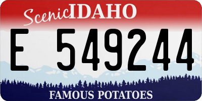ID license plate E549244