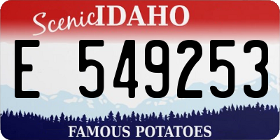 ID license plate E549253