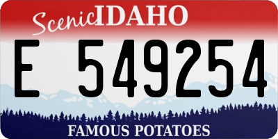 ID license plate E549254