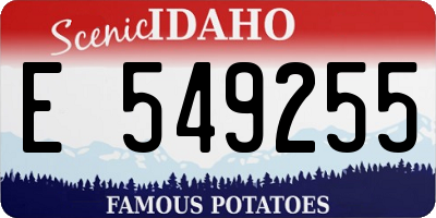 ID license plate E549255