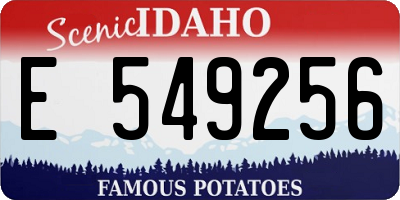 ID license plate E549256