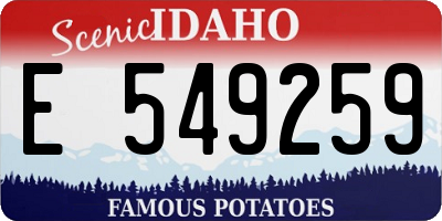 ID license plate E549259