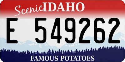 ID license plate E549262