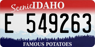 ID license plate E549263