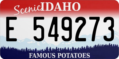 ID license plate E549273