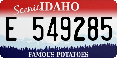 ID license plate E549285