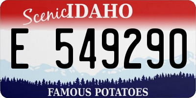 ID license plate E549290