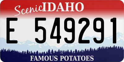 ID license plate E549291
