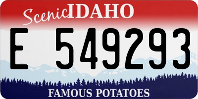 ID license plate E549293
