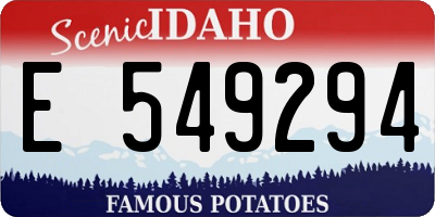 ID license plate E549294